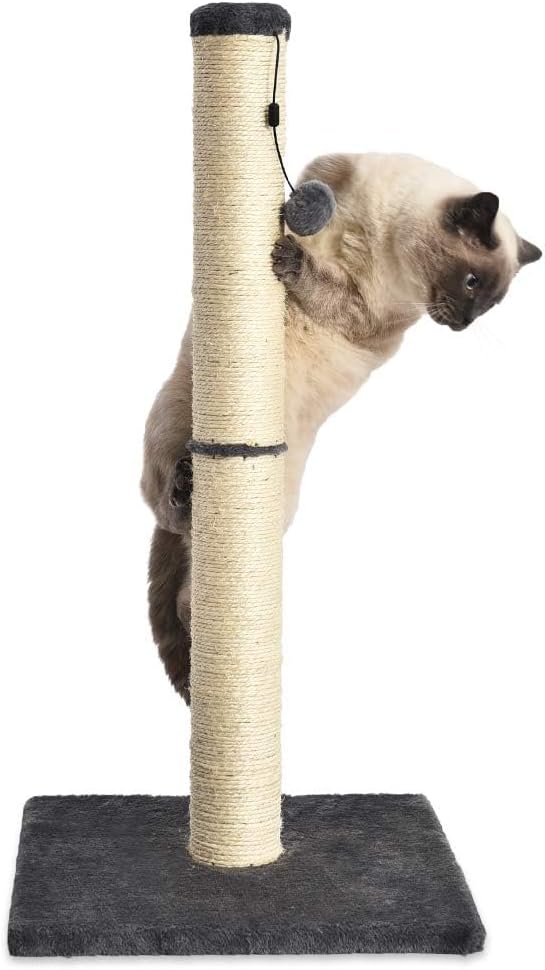 Cat Scratcher