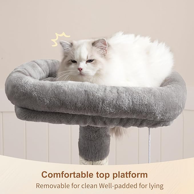 Cat Tree with Toy  M801D